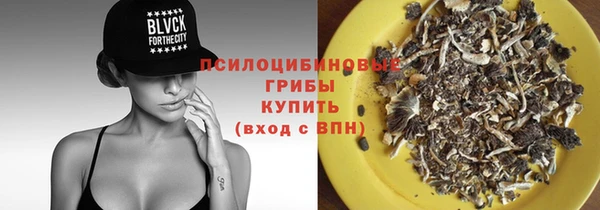 МДМА Каменка