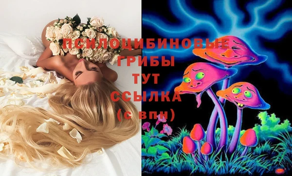 кокаин колумбия Каменногорск