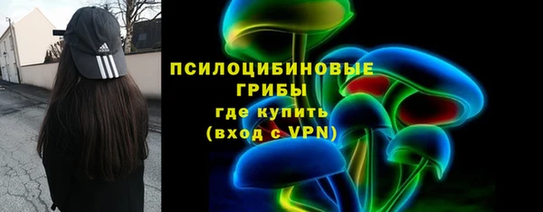 МДМА Каменка