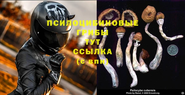МДМА Каменка