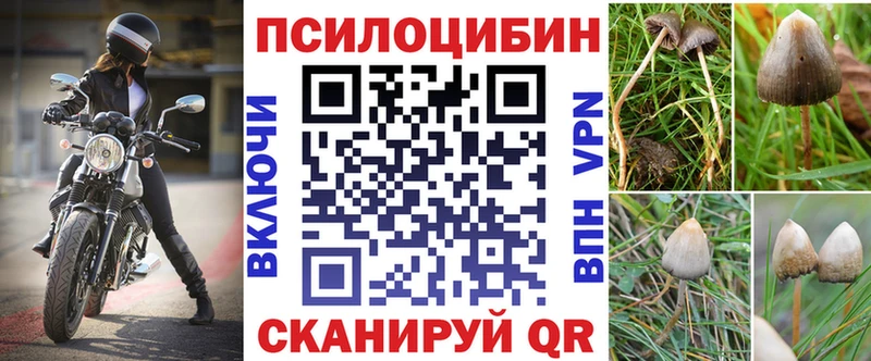 Купить закладки  Дигора  Псилоцибиновые грибы Psilocybine cubensis 